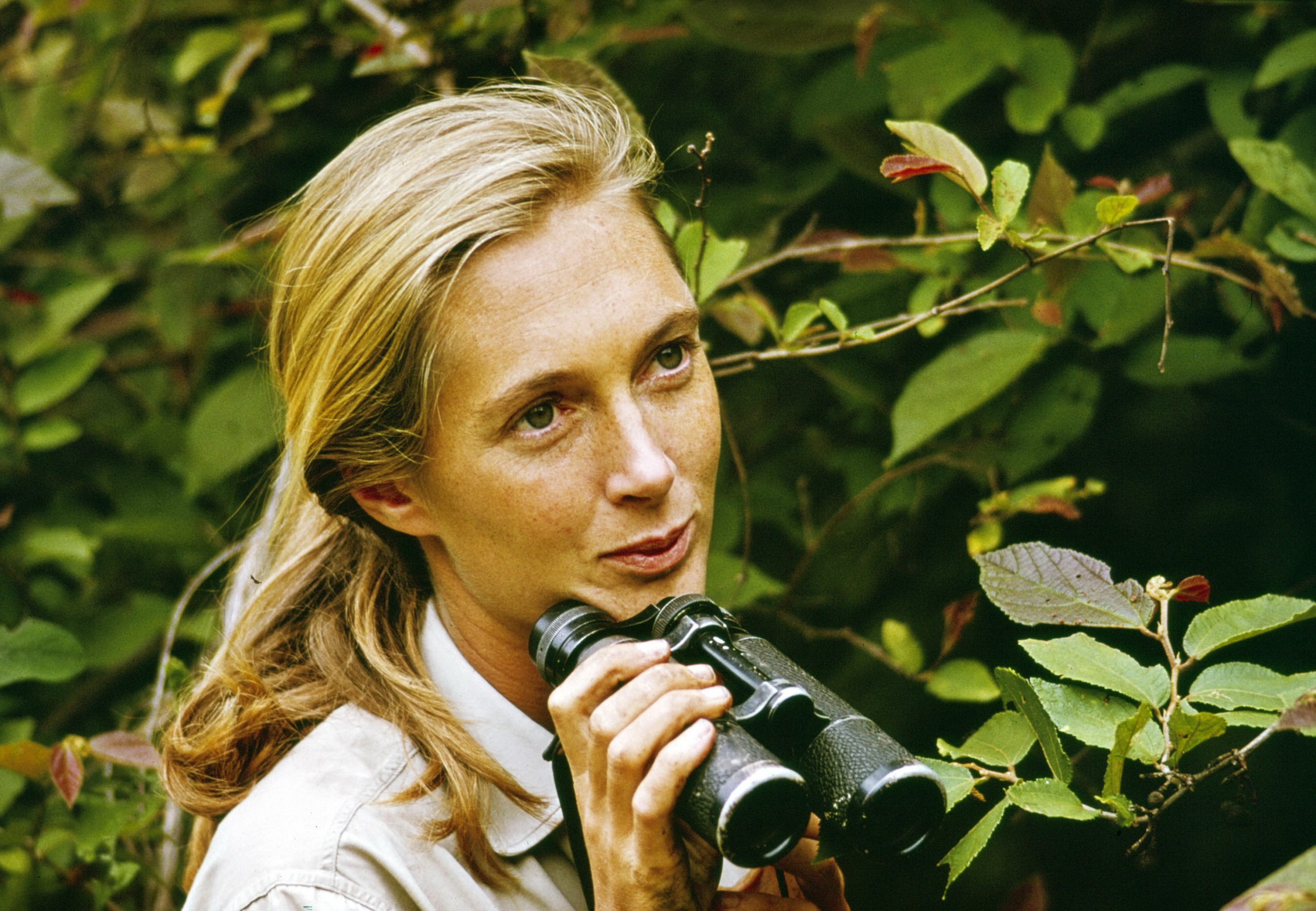 Jane Goodall: Η γυναίκα που έζησε με τους γορίλες, είχε όλα τα μυστικά μακροζωίας 1