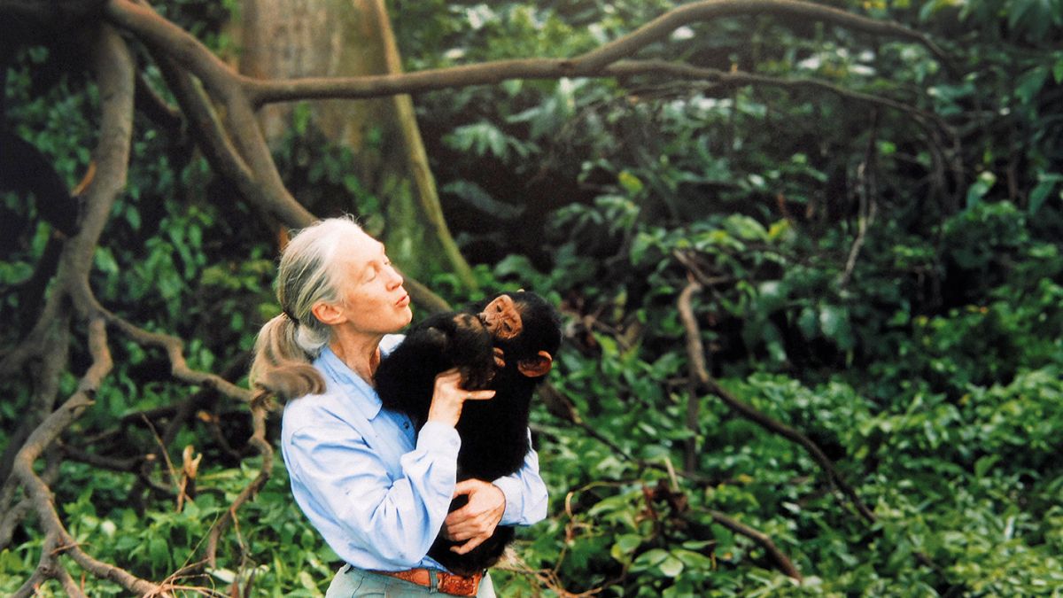 Green People: Τι σημαίνει να είσαι βιώσιμος σε έναν κόσμο που ακόμη παλεύει με τις παλιές του συνήθειες; 1