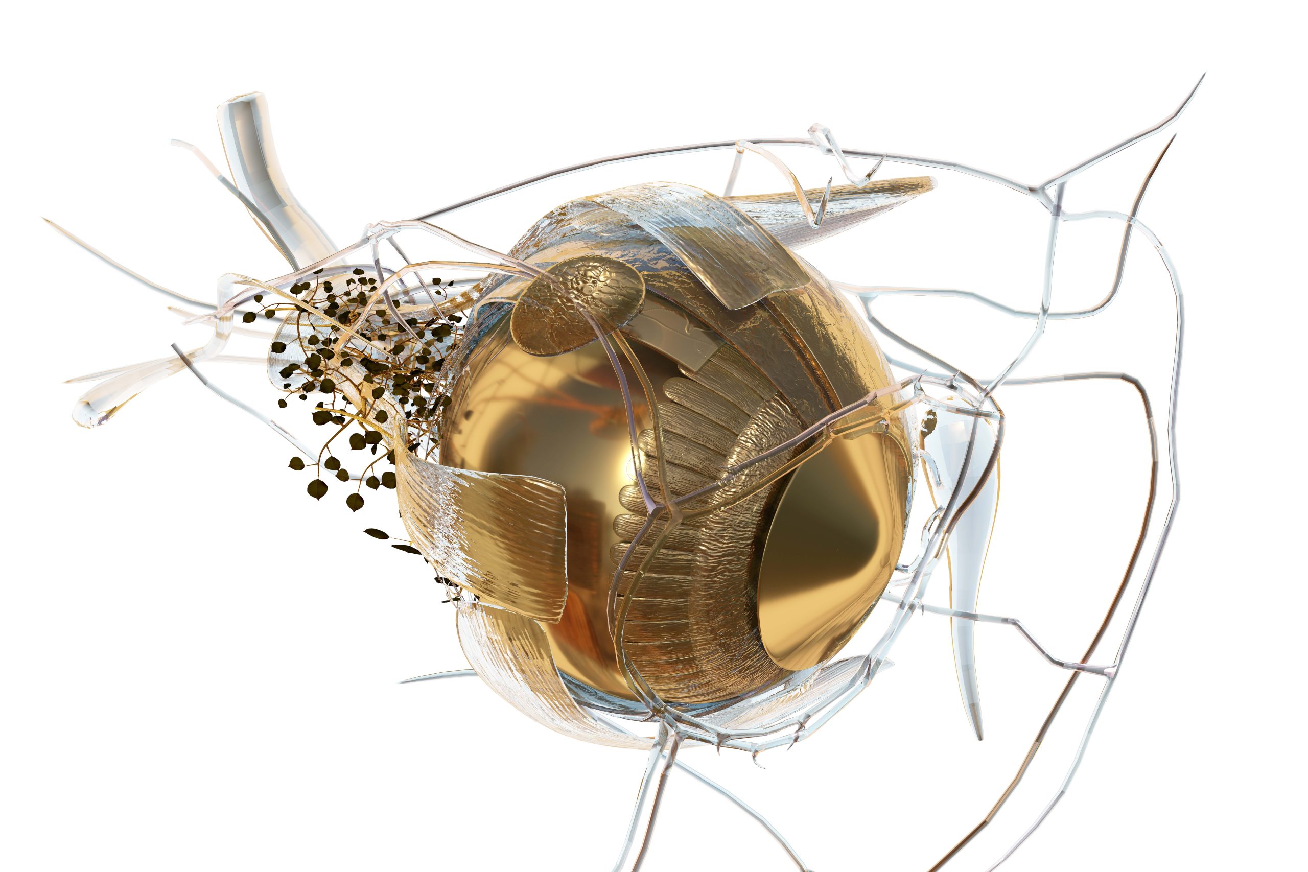 «Phytobiosomes»: Η έκθεση του Costas Picadas φέρνει κοντά την τέχνη με την υγεία 1