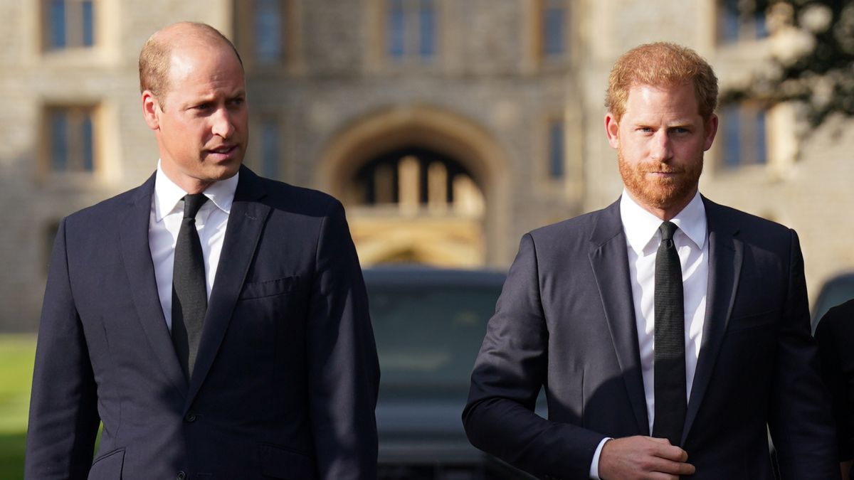 Ο πρίγκιπας William σπάει τη σιωπή του- Το σπάνιο σχόλιο για τον αδελφό του, πρίγκιπα Harry εν μέσω ρήξης 1