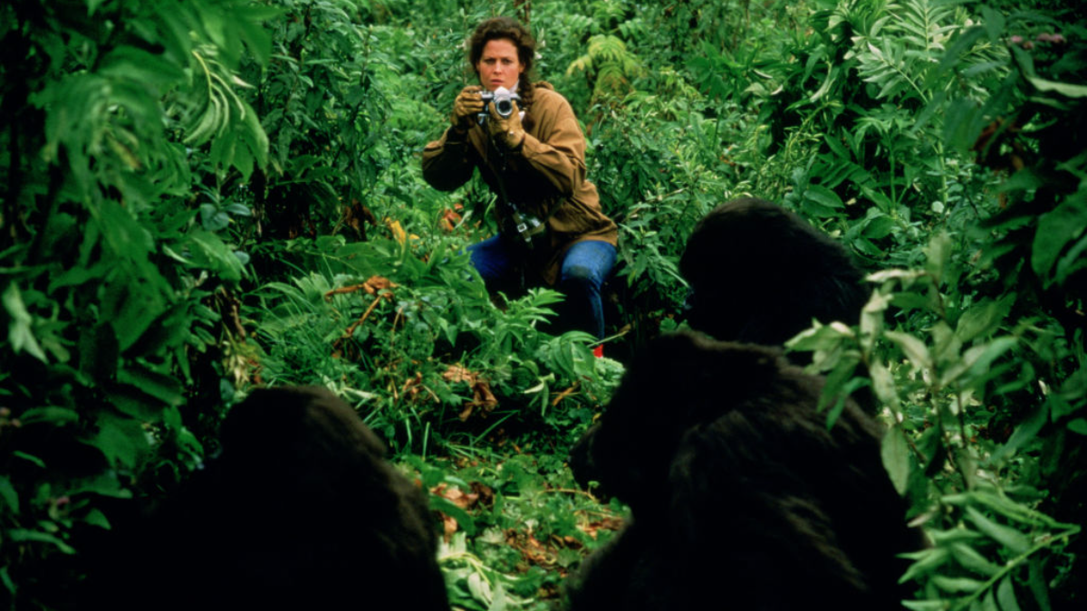 Πριν και μετά τη Jane Goodall: Οι άνθρωποι που αφιέρωσαν τη ζωή τους στα ζώα 1