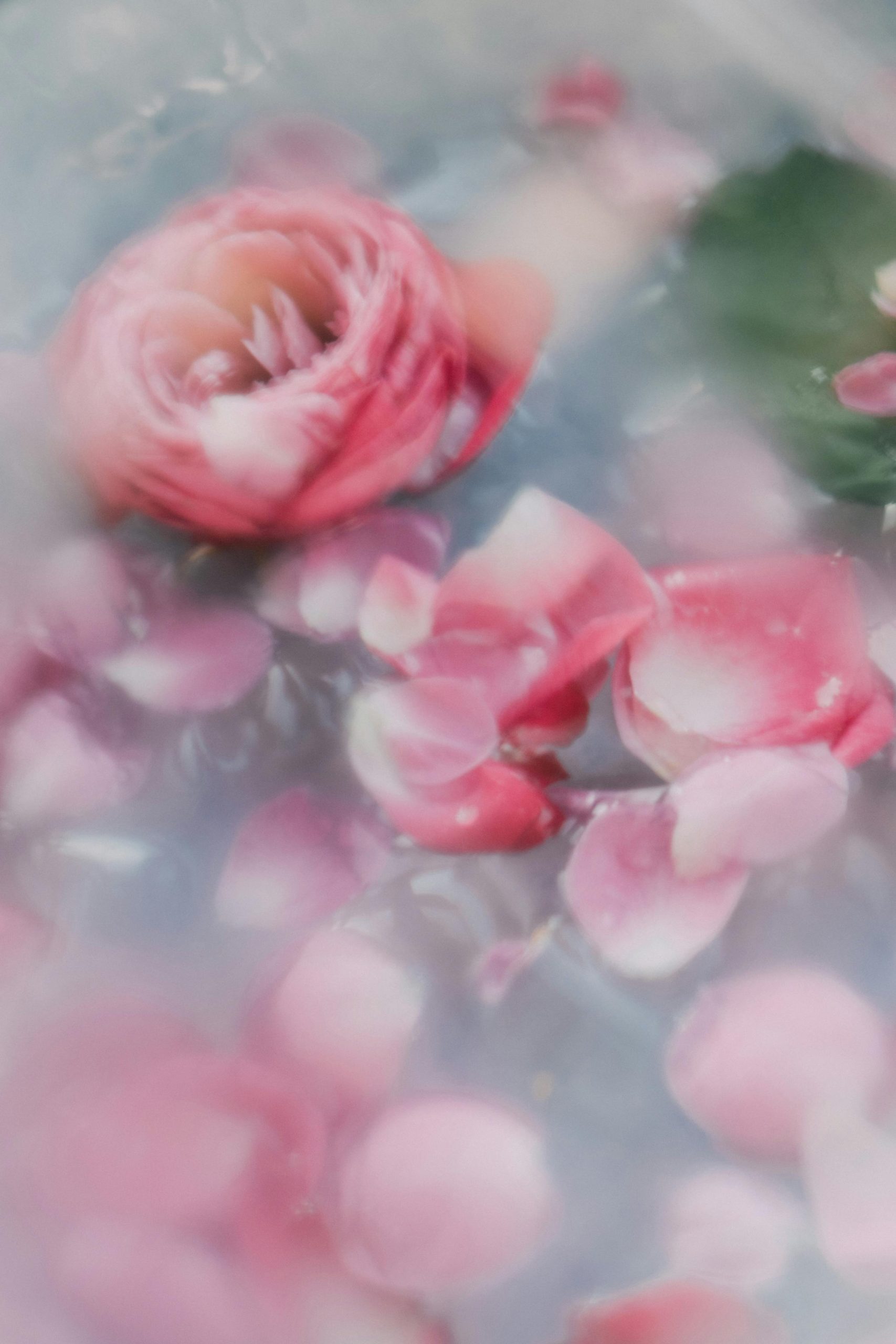 Αυτό το φυσικό συστατικό κάνει το δέρμα σας να δείχνει φρέσκο και νεανικό 3