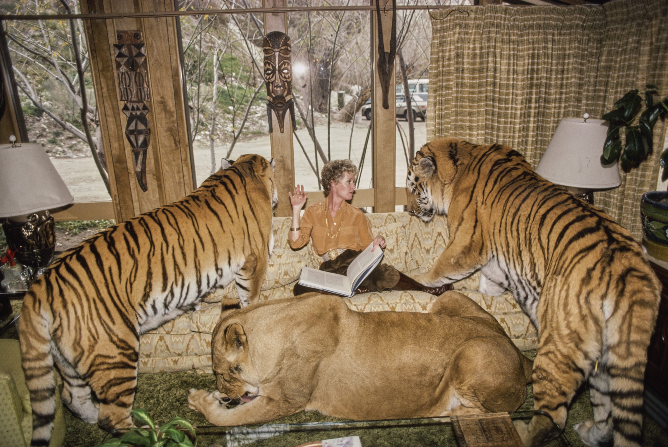 Τίπι Χέντρεν – Η ηθοποιός που κοιμόταν με αληθινά λιοντάρια σε μεταξωτά σεντόνια 1