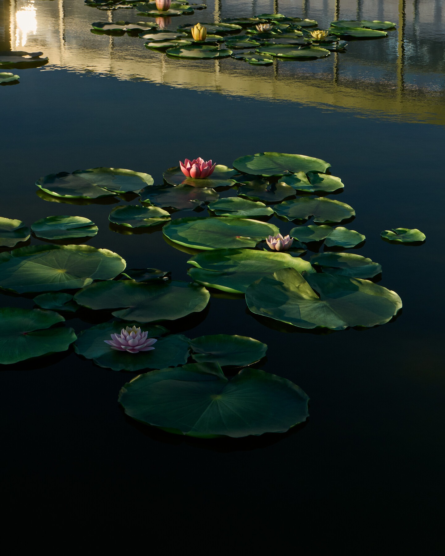 Dior FW 2026-27: Η άνοιξη μέσα στο φθινόπωρο του Jonathan Anderson 3