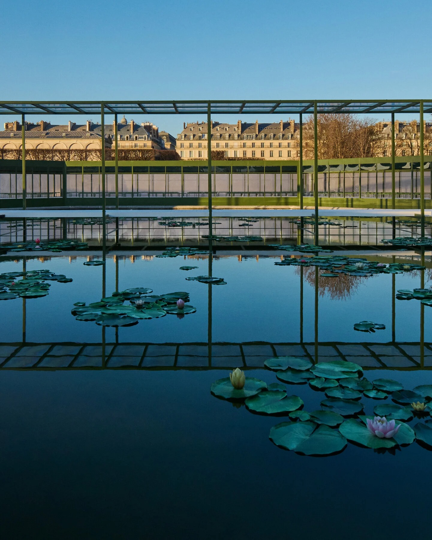 Dior FW 2026-27: Η άνοιξη μέσα στο φθινόπωρο του Jonathan Anderson 2