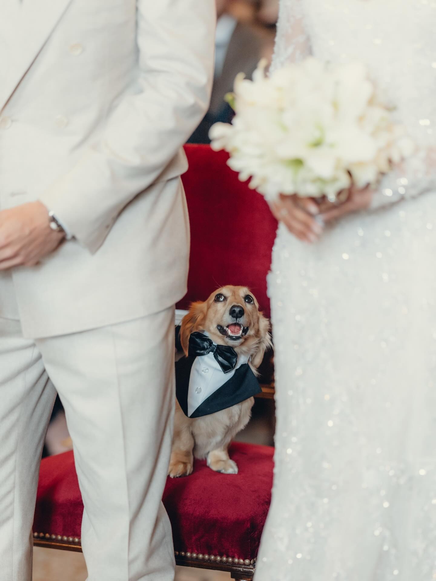 Charles Leclerc – Alexandra Saint Mleux: Ο κινηματογραφικός τους γάμος στο Μονακό 4