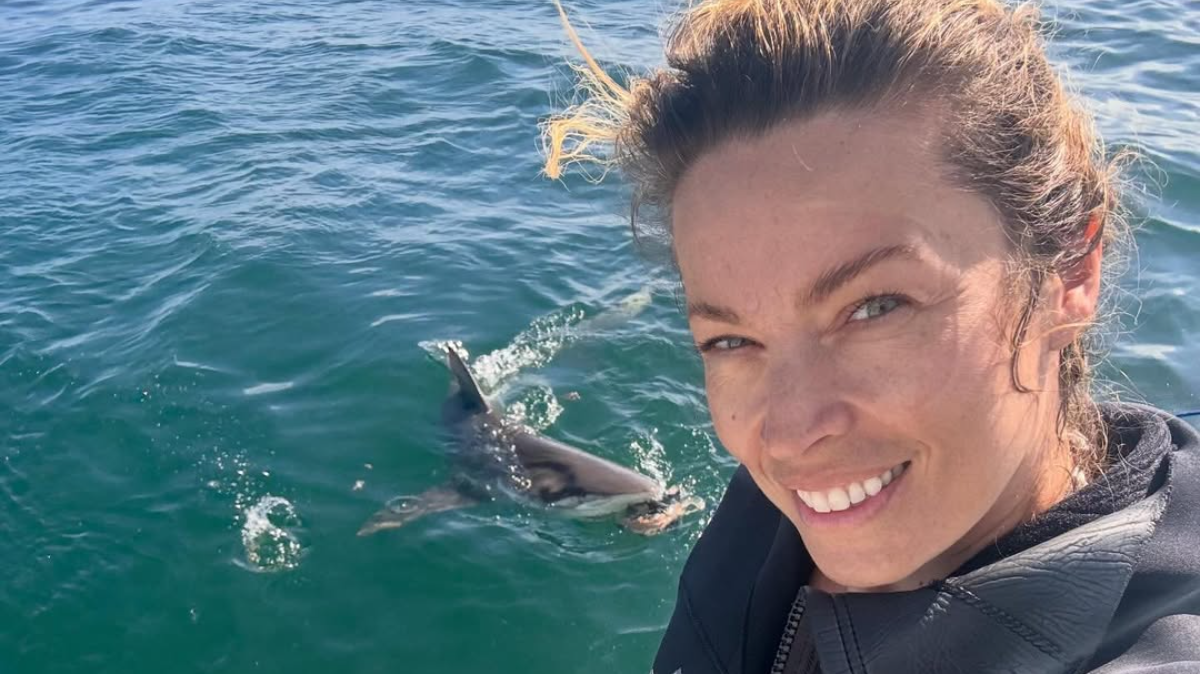 Η Μαριέττα Χρουσαλά μας «ταξίδεψε» στο Κέιπ Τάουν: Κατάδυση με καρχαρίες και μαγευτικά τοπία