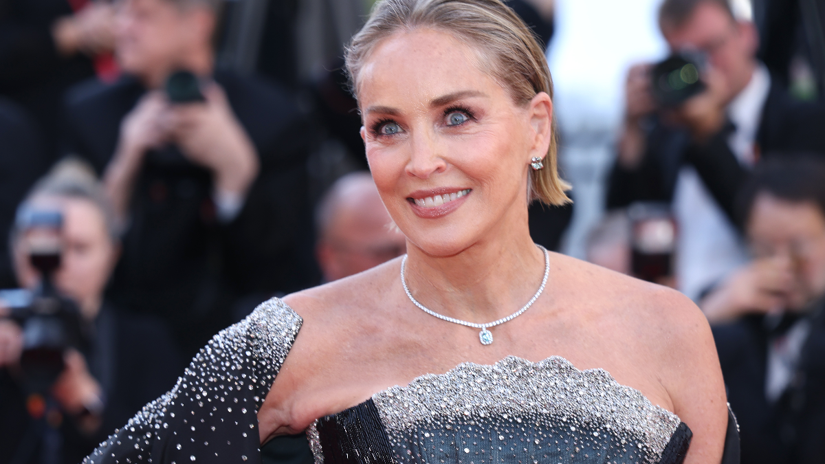 Sharon Stone: Η διπλή μαστεκτομή λόγω πιθανού καρκίνου, ήταν η αιτία του διαζυγίου της 1