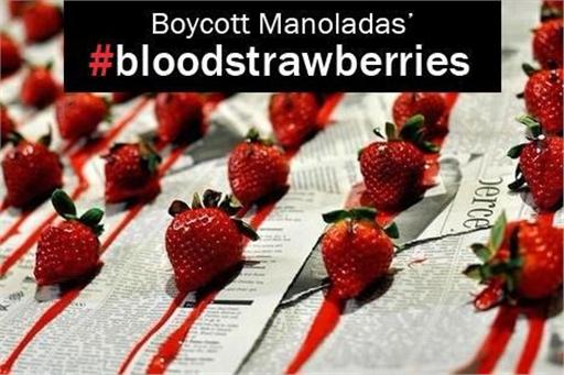 Διεθνές μποϊκοτάζ στις «βαμμένες με αίμα φράουλες» της Μανωλάδας