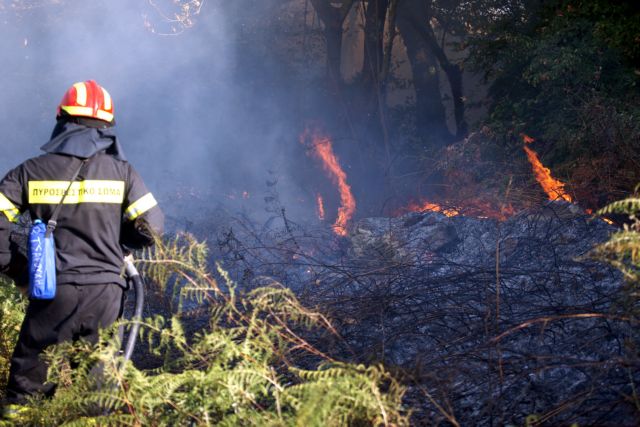 Forest fire in Evia