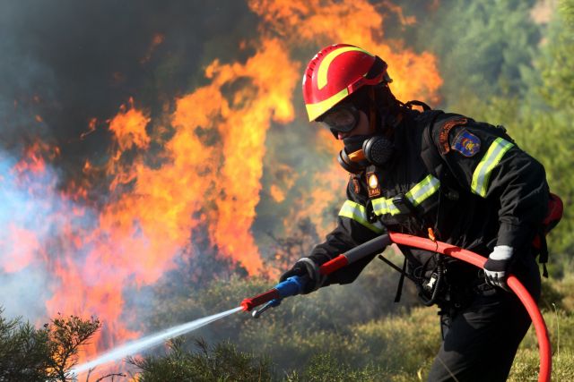 Fire cripples thermoelectric plant near Florina