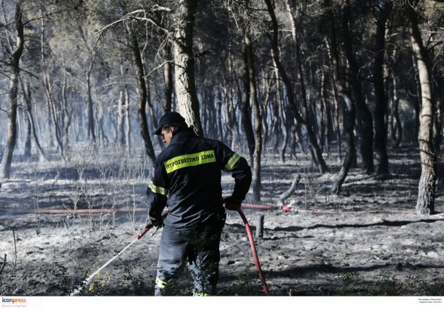 Wildire near Panorama in Voula under partial control