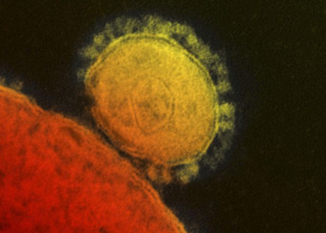 MERS coronavirus patient’s health improves