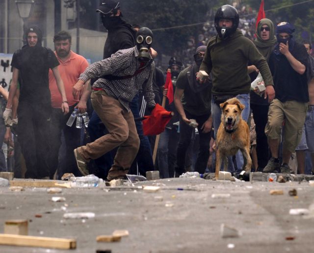 “Loukanikos”, the austerity-fighting riot dog, passes away