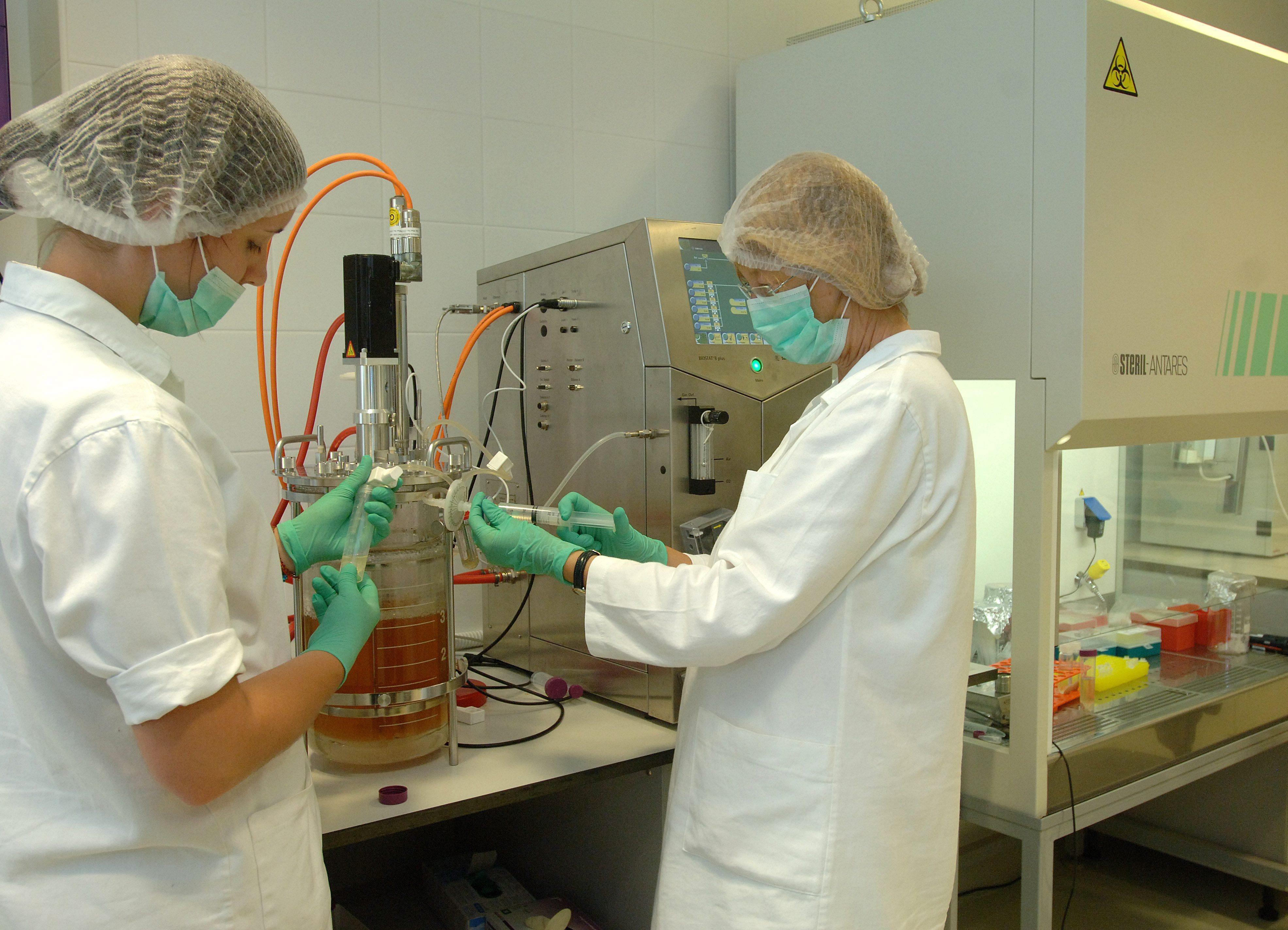 Μια έγκυος στην Αίγυπτο πέθανε από γρίπη H1N1