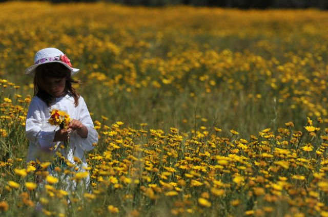 Ηλιόλουστος ο καιρός το τριήμερο της Πρωτομαγιάς