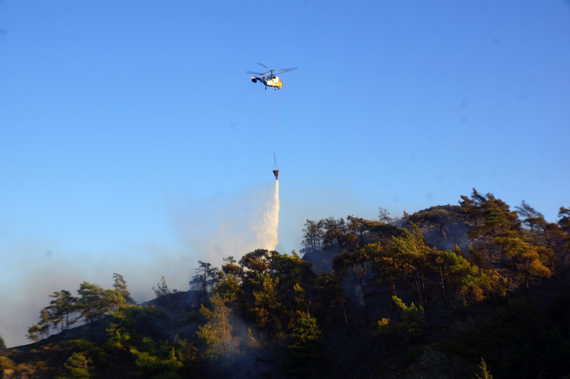 Πυρκαγιά σε δασική έκταση στην Αγία Μαρίνα Μυτιλήνης