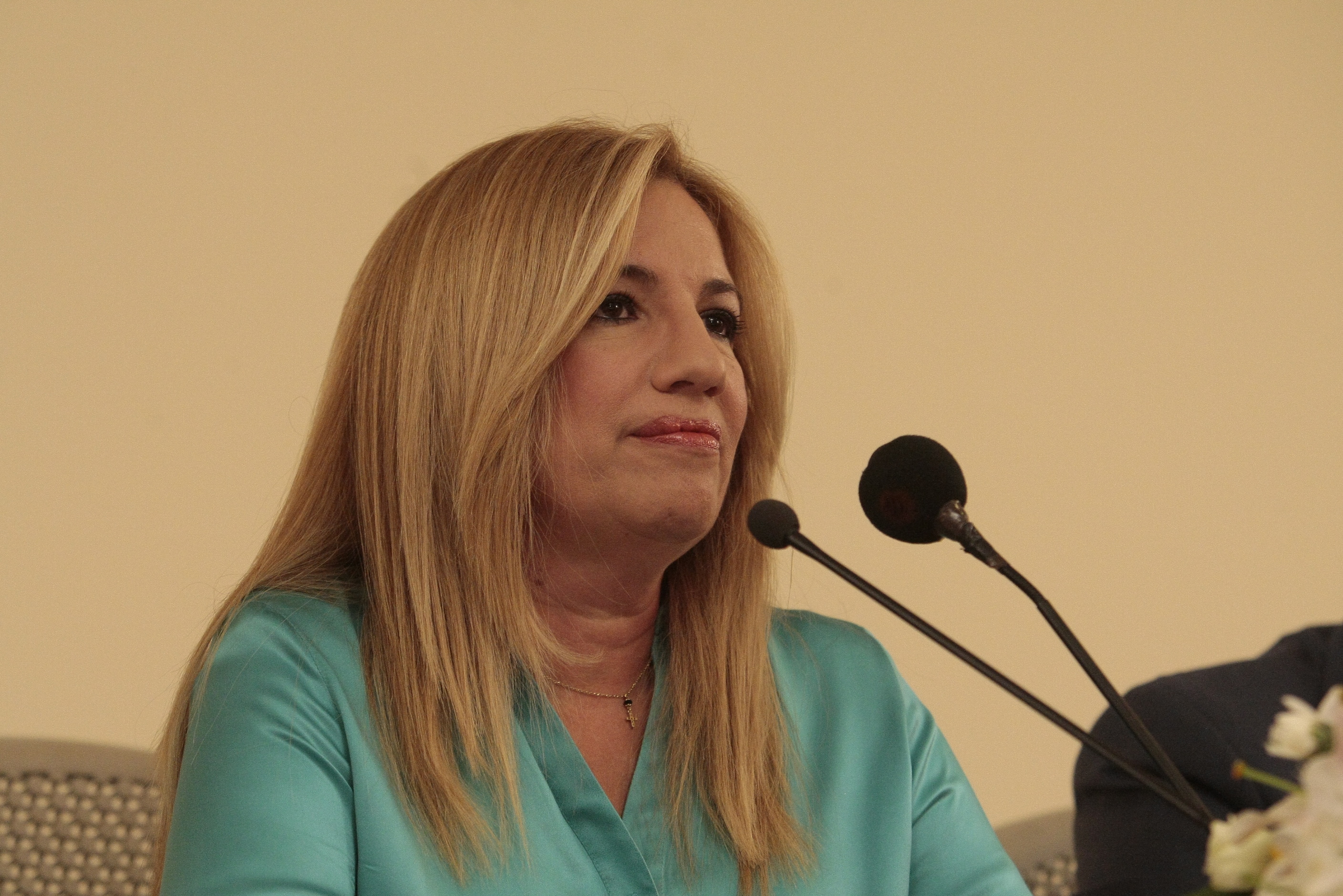 Γεννηματά: Κυβέρνηση από όλες τις φιλοευρωπαϊκές δυνάμεις