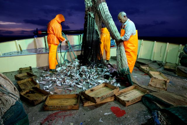 ΟΗΕ: «Ανησυχητική» η κατάσταση με τα ψάρια της Μεσογείου