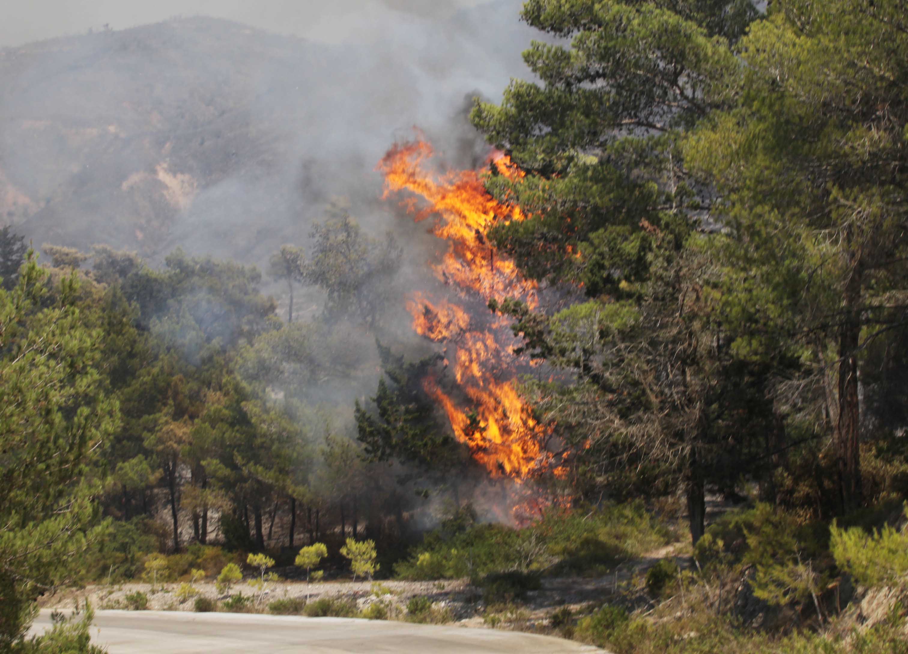 Δύο χρόνια με αναστολή για τον υπαίτιο της πυρκαγιάς στα Καλύβια