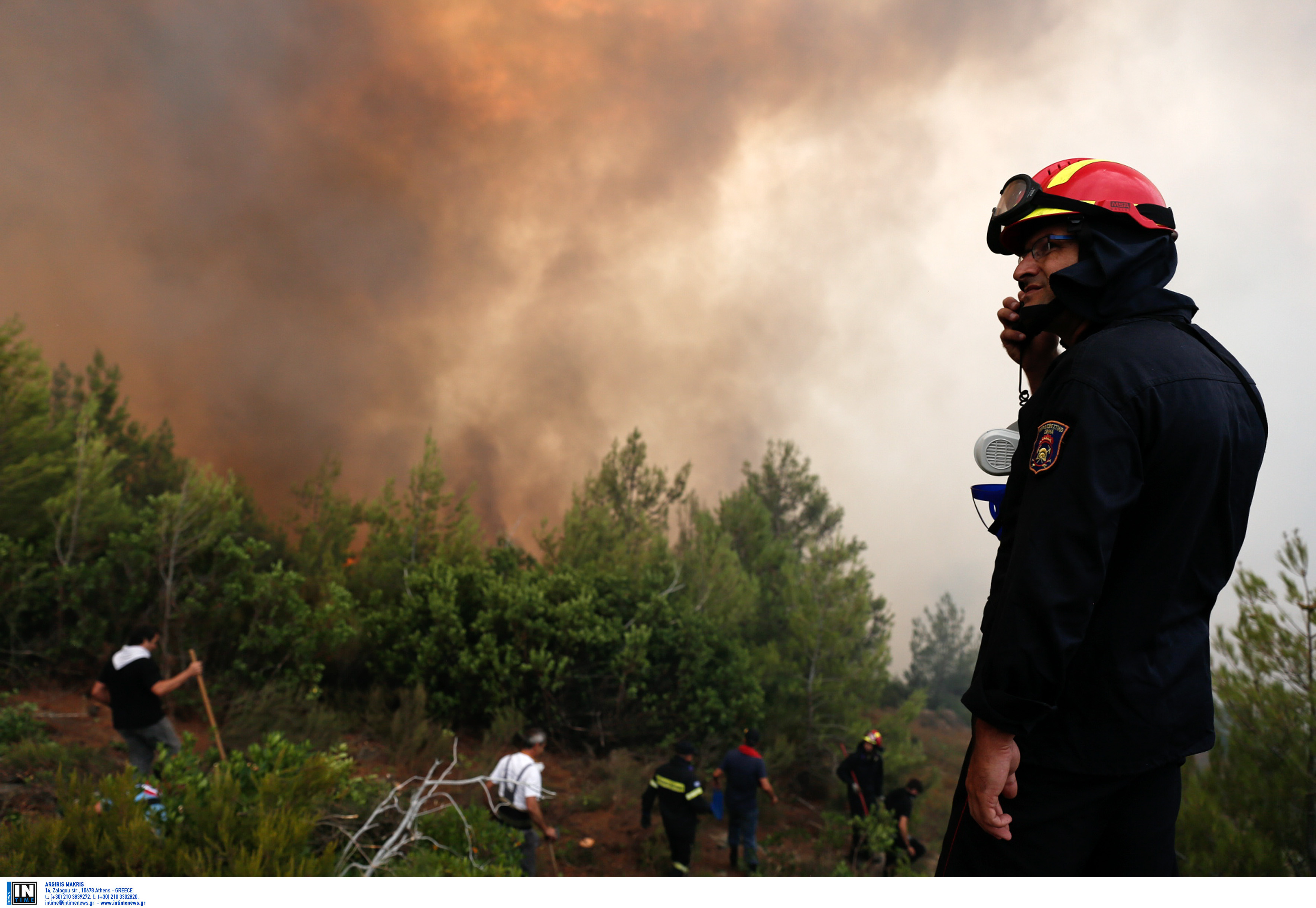 Στις φλόγες δασική έκταση στην Άνδρο | tovima.gr