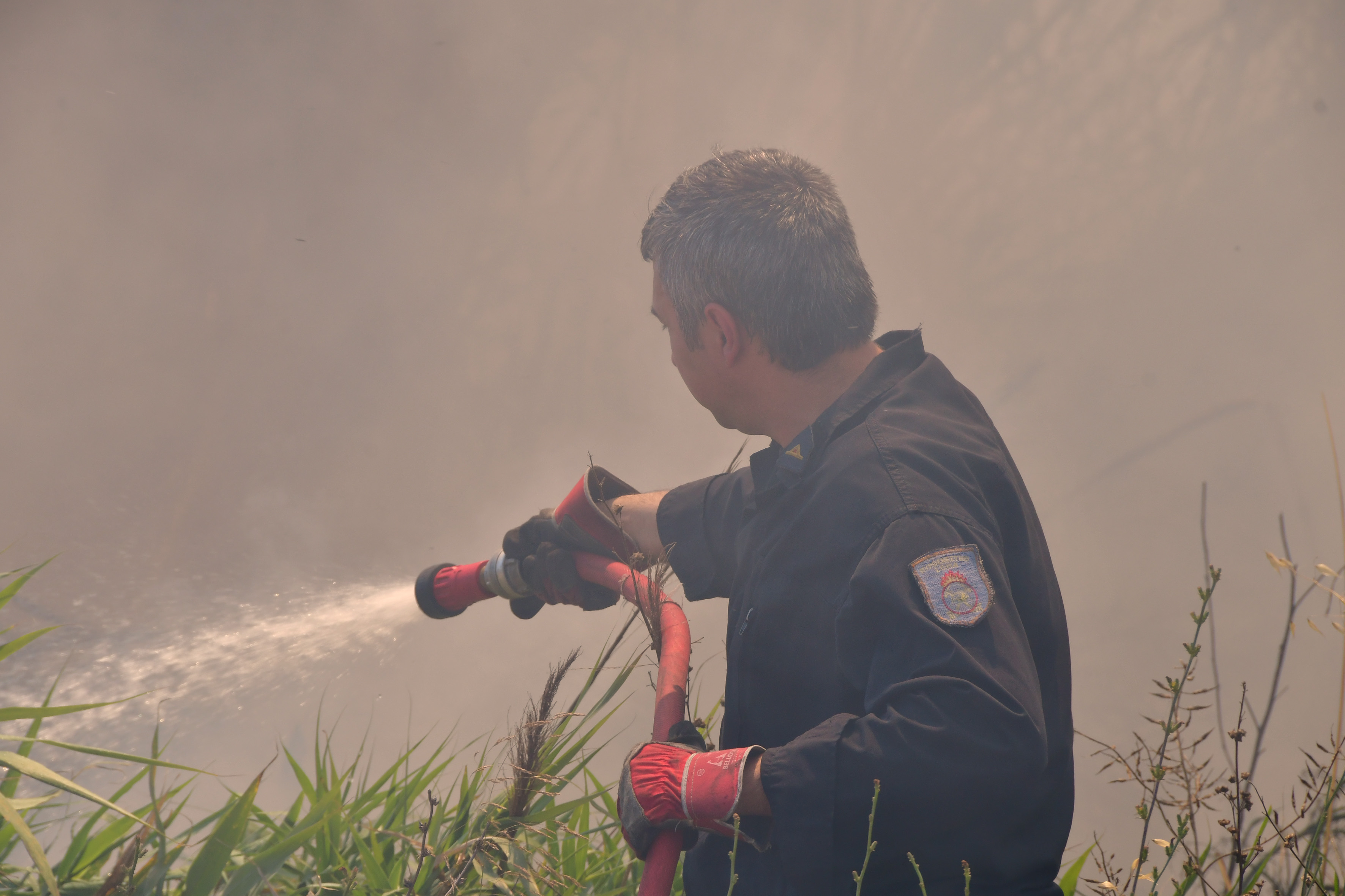 Φωτιά σε δασική έκταση στη Μεσσηνία