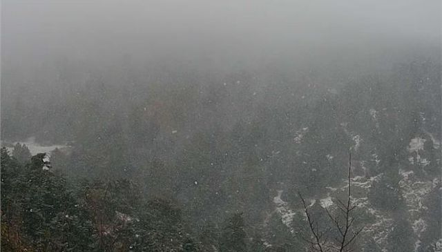 Έπεσαν τα πρώτα χιόνια στην Πάρνηθα [Βίντεο]