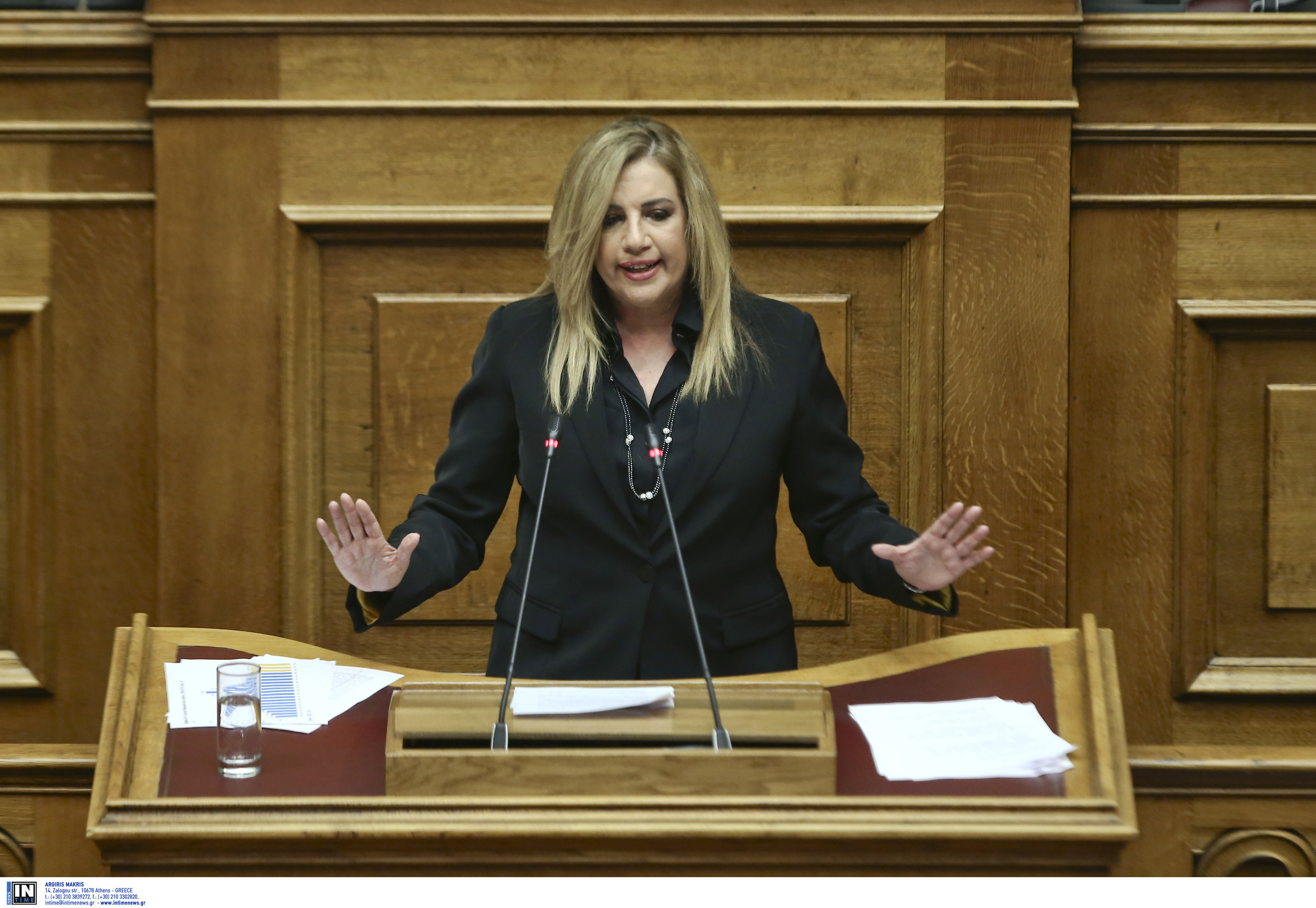 Φώφη Γεννηματά: Οχτώ προτάσεις για την κοινωνική προστασία