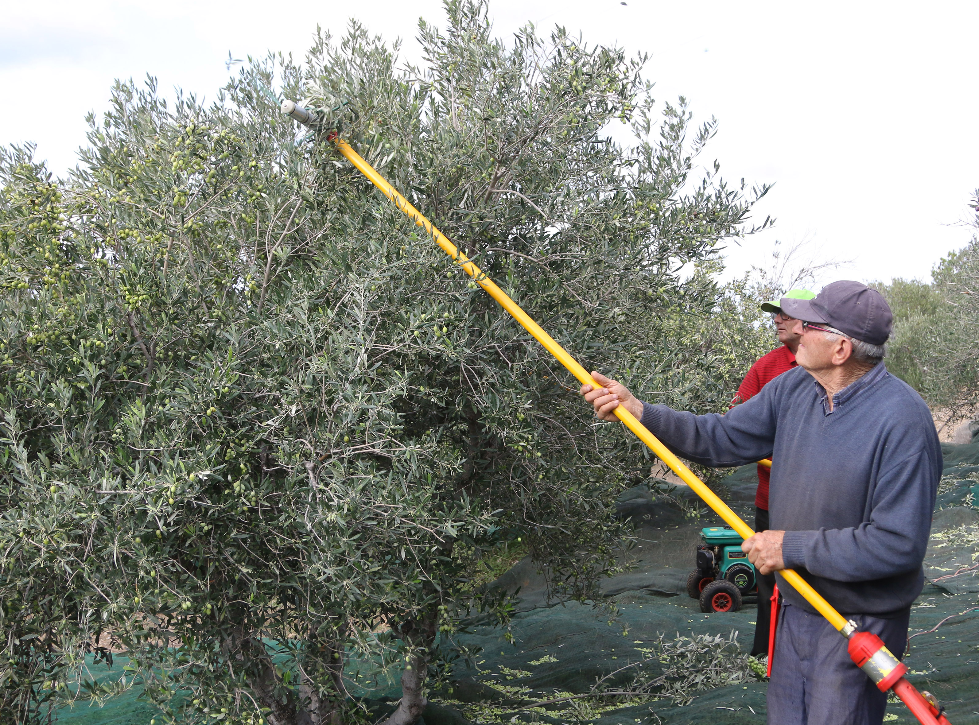 Συντάξεις: Κούρεμα 60% για όσους έχουν αγροτικά εισοδήματα