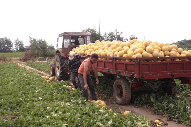 Στον εξωδικαστικό συμβιβασμό εντάσσονται και οι αγρότες