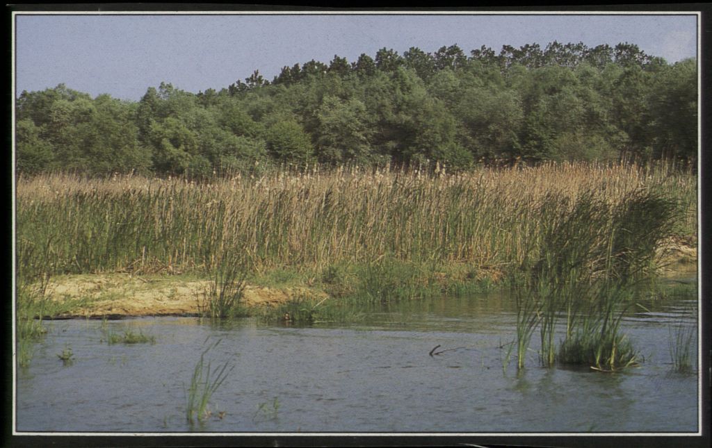 SOS για τη ρύπανση ποταμών, λιμνών και υγροτόπων