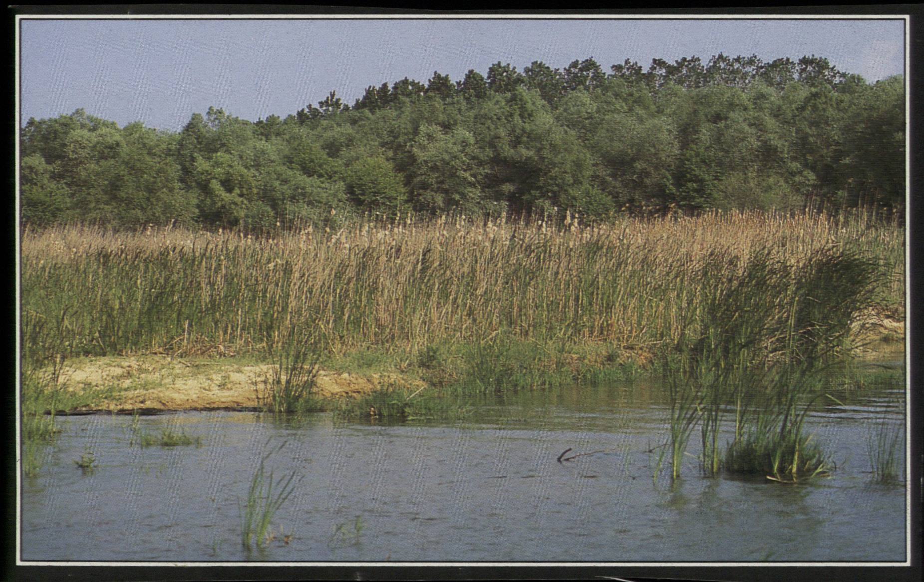 SOS για τη ρύπανση ποταμών, λιμνών και υγροτόπων