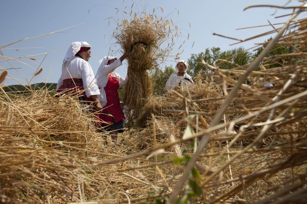 Μίνι κραχ στα αγροτικά προϊόντα λόγω capital controls