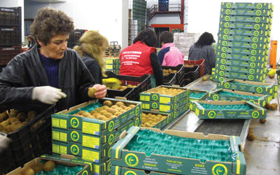 Οι αποζημιώσεις από ΕΕ στόχος της Αθήνας λόγω του ρώσικου εμπάργκο