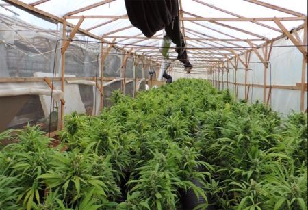 Κέρκυρα: 47χρονος μετέτρεψε το σπίτι του σε εργαστήριο χασισελαίου