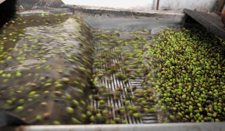 101 προϊόντα κατοχύρωσαν την ελληνική ταυτότητα