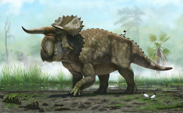 Ο «μυτόγκας» δεινόσαυρος