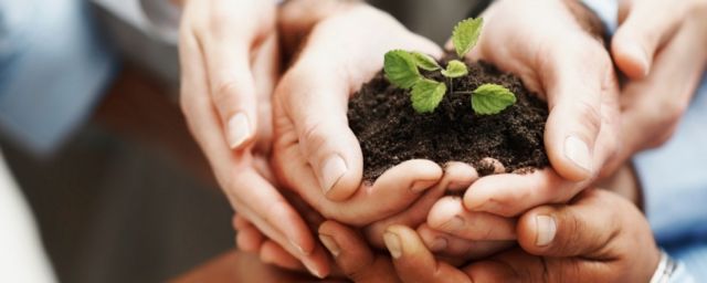 Η εξέλιξη τιμωρεί τον εγωισμό