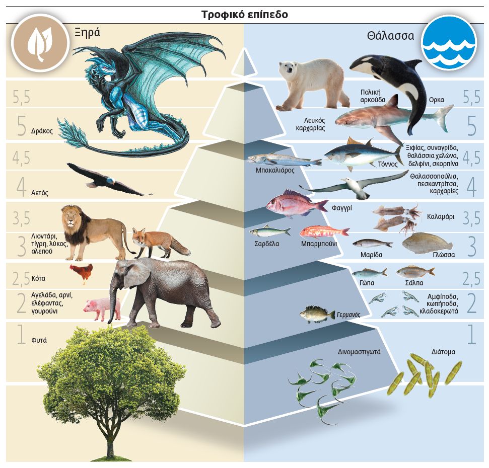 Τι τρώμε, ψάρι ή λιοντάρι;