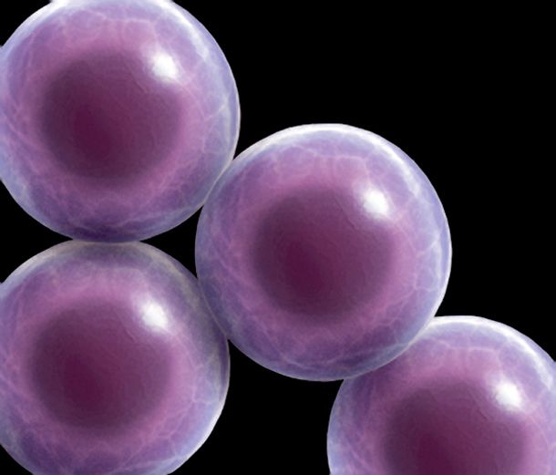 Τέλεια βλαστικά κύτταρα από δέρμα!