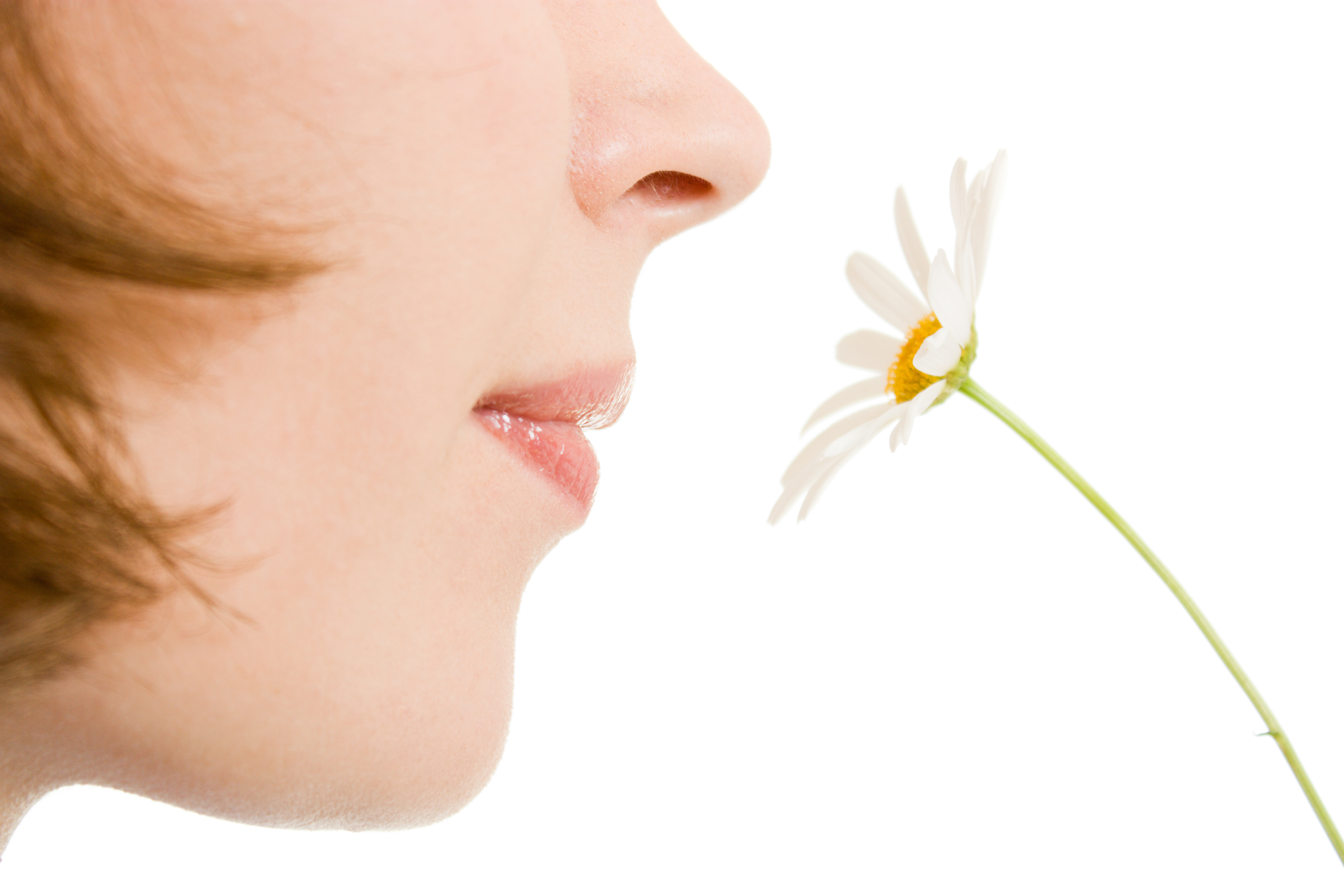 Δέκα μόνο βασικές οσμές αναγνωρίζει η μύτη μας