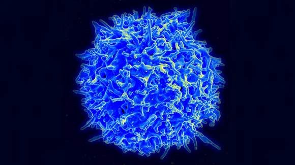 «Παν-καρκινικές» μελέτες φωτίζουν τη γενετική του καρκίνου