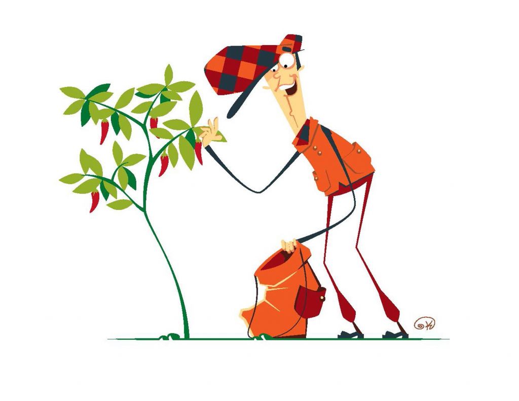 Το μακεδονήσι πάει με όλα