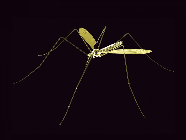 Προς κυκλοφορία του πρώτου εμβολίου για την ελονοσία | tovima.gr