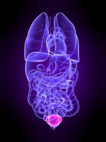 Προσθετική ουροδόχος κύστη ελέγχει την ούρηση