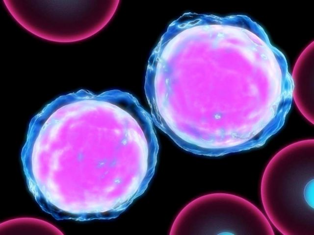 Πολλοί καρκίνοι σε έναν όγκο!