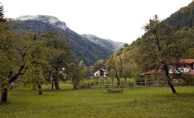 Ο εγκέφαλος προτιμά τη γαλήνη της εξοχής παρά τη σύγχυση της πόλης