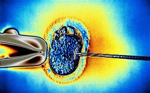 Διπλάσια ποσοστά επιτυχίας της IVF