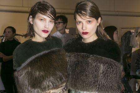 Τάση: Γούνες