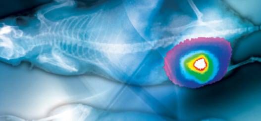 Διάγνωση του καρκίνου σε λίγες ώρες με απεικόνιση!